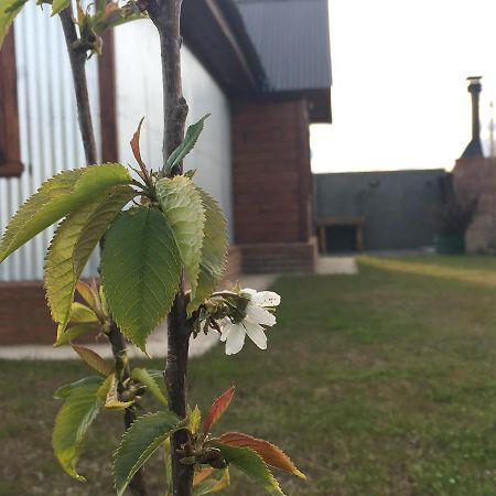 Casa Patagonica Los Frutales El Calafate Bagian luar foto