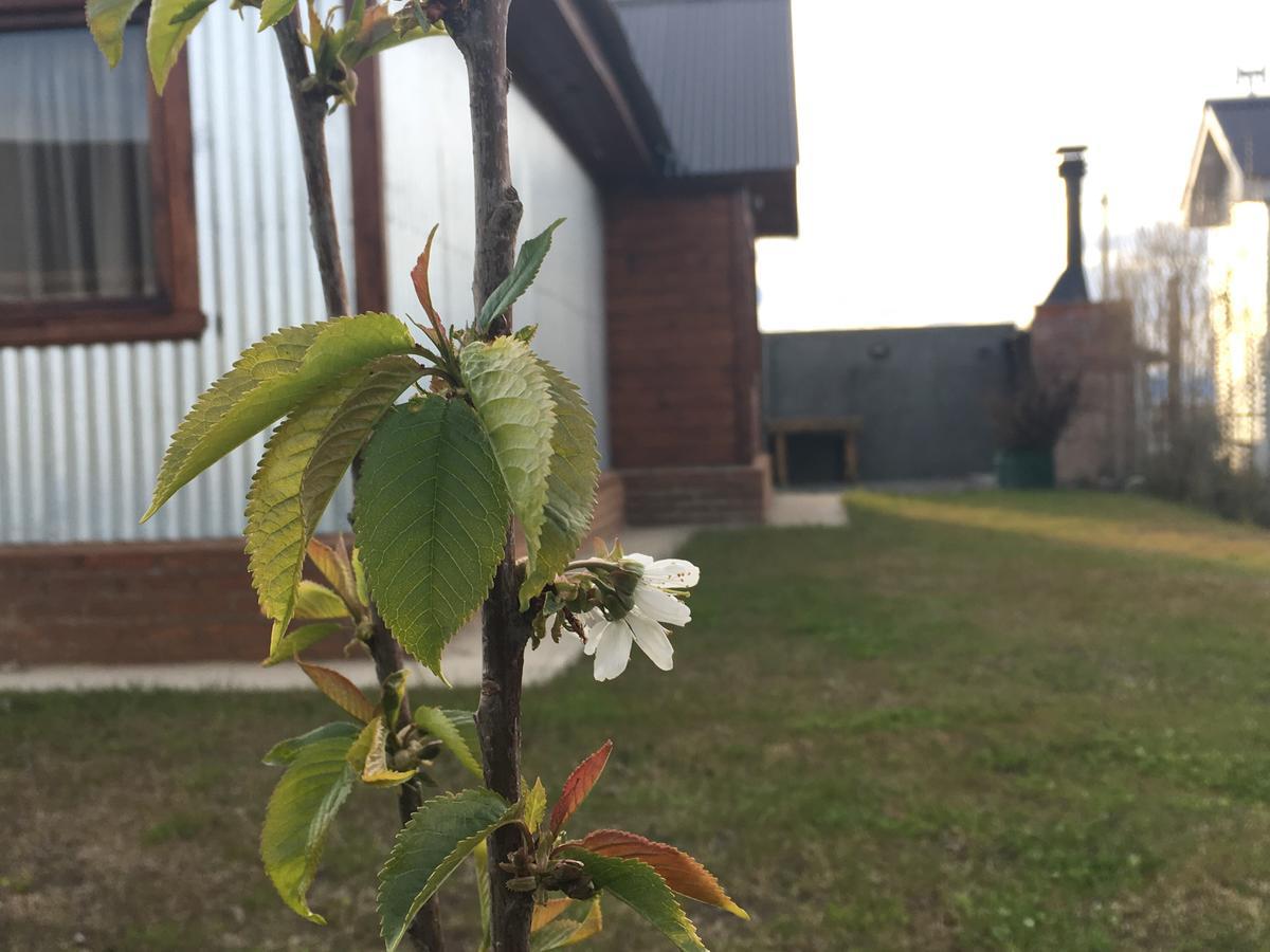Casa Patagonica Los Frutales El Calafate Bagian luar foto
