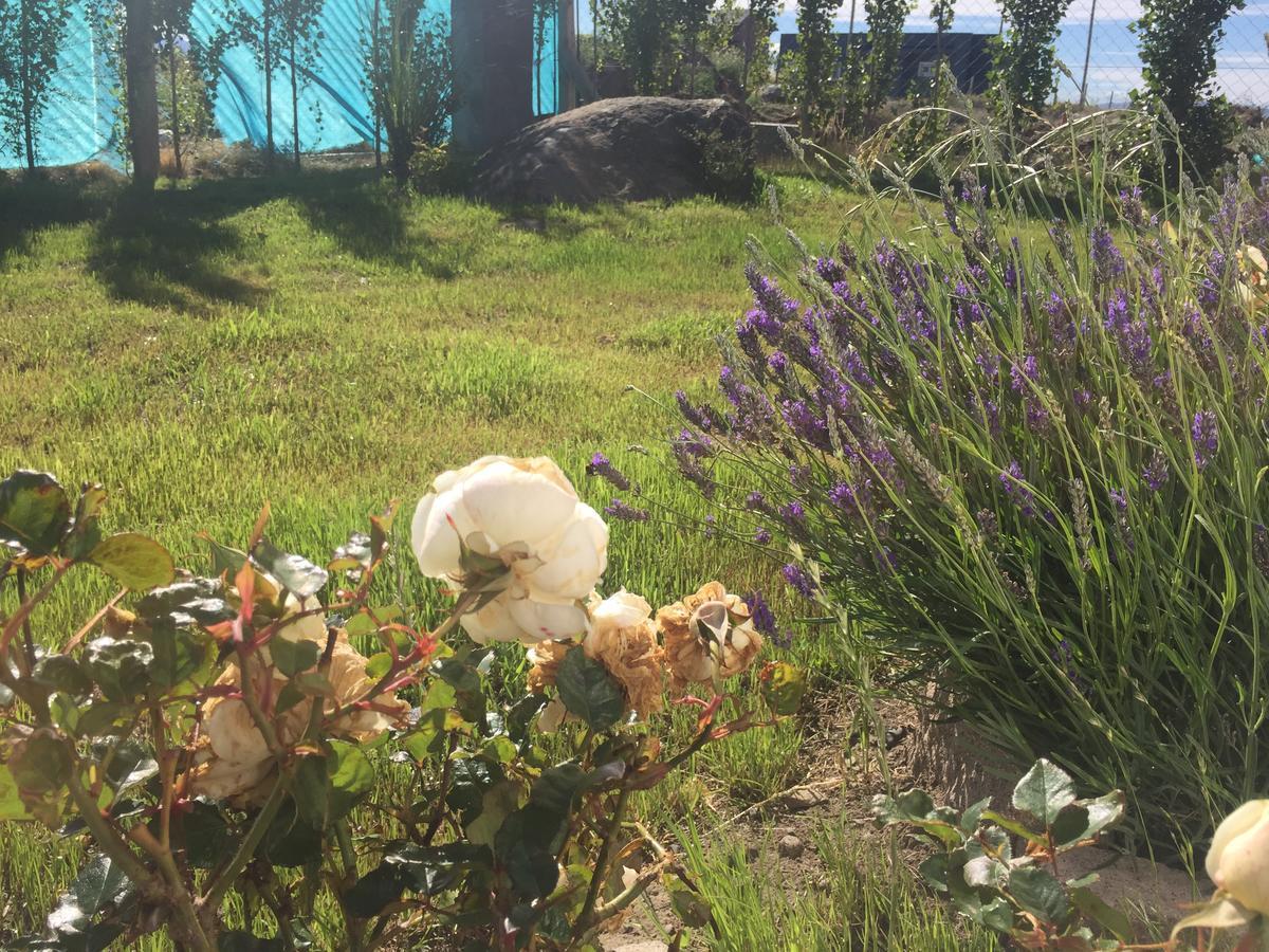 Casa Patagonica Los Frutales El Calafate Bagian luar foto